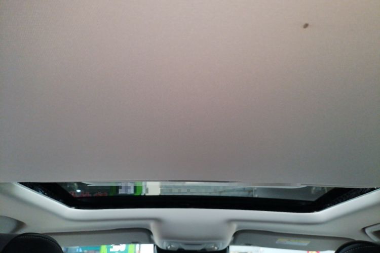 Used Tank 300 2024 2.0T Conqueror Headliner