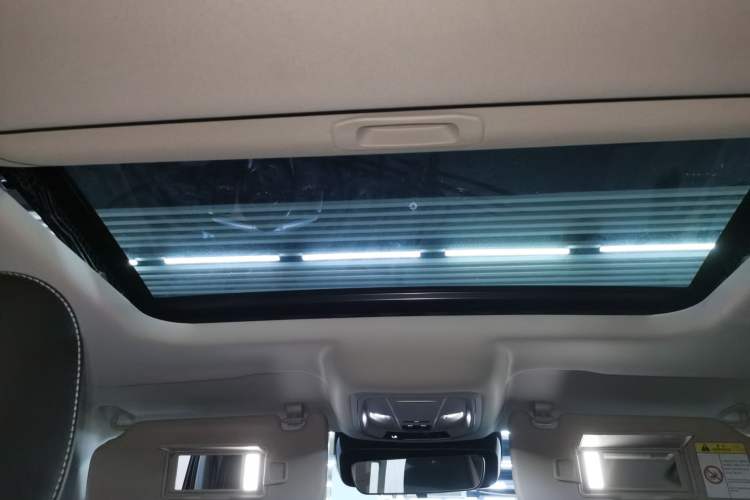 Used Tank 300 2024 2.0T Conqueror Headliner