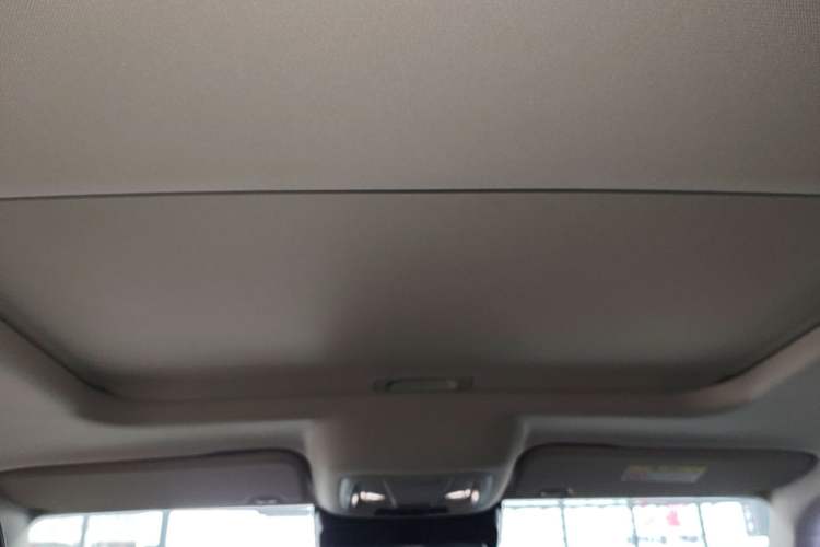 Used Tank 300 2024 2.0T Conqueror Headliner
