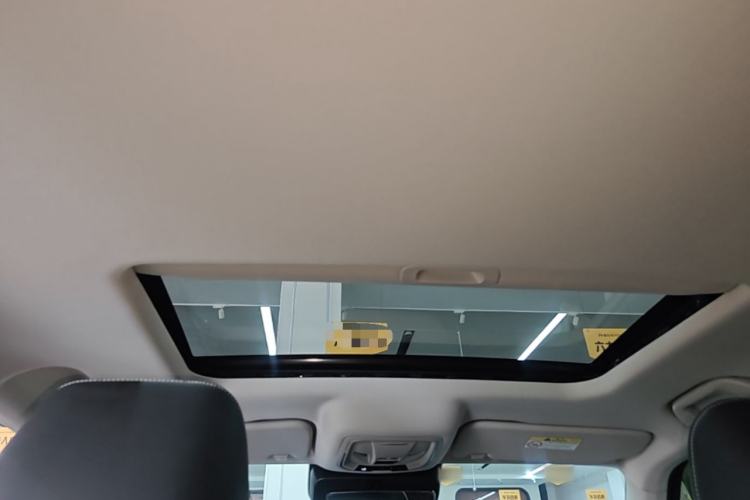 Used Tank 300 2024 2.0T Conqueror Headliner