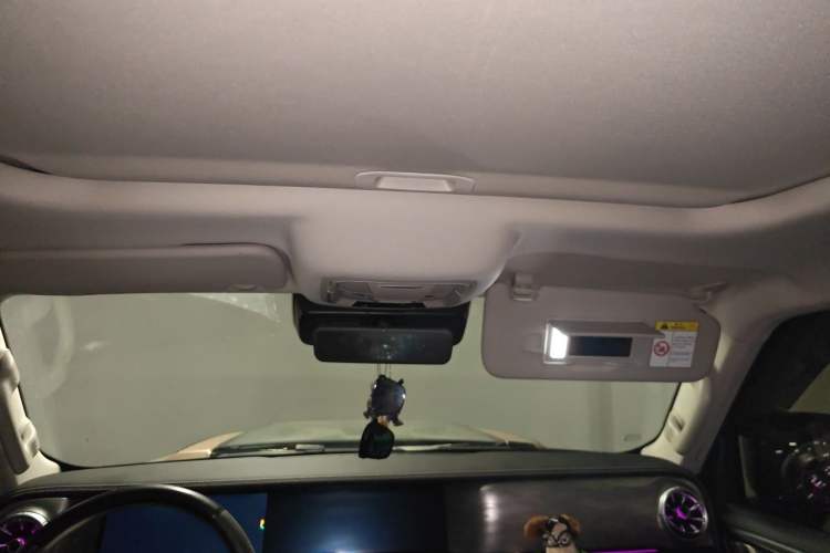 Used Tank 300 2024 2.0T Crosser Headliner