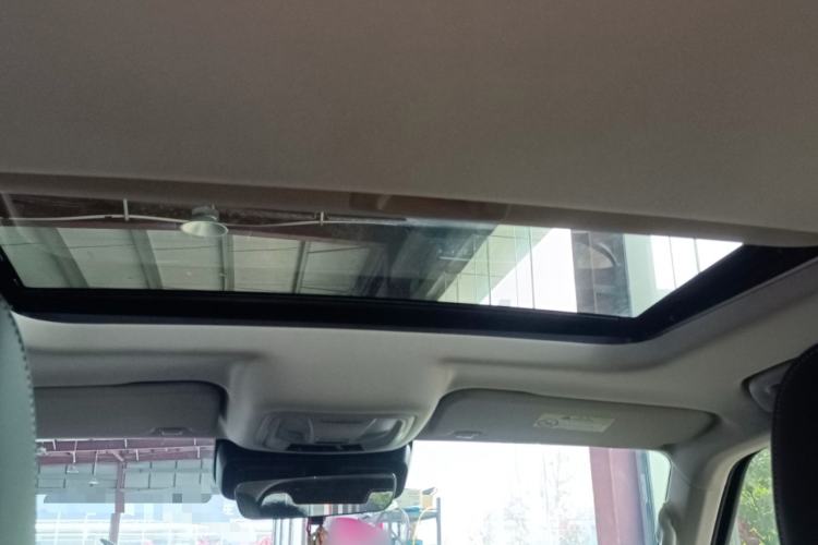 Used Tank 300 2024 2.0T Challenger Headliner