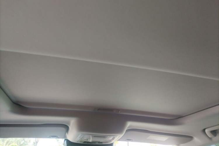 Used Tank 300 2024 2.0T Conqueror Headliner