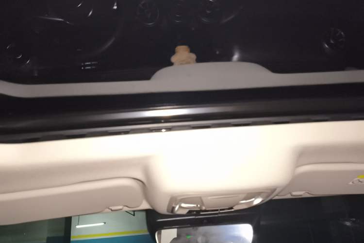 Used Tank 300 2024 2.0T Conqueror Headliner