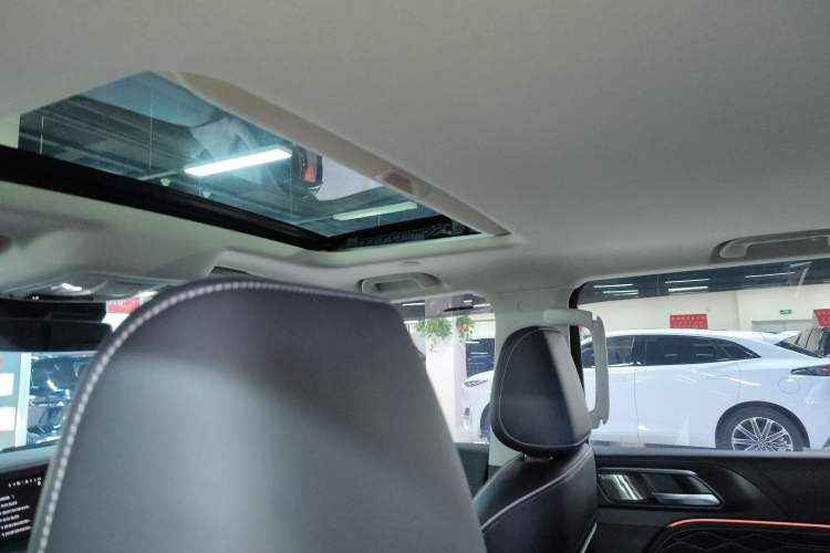 Used Tank 300 2024 2.0T Crosser Headliner