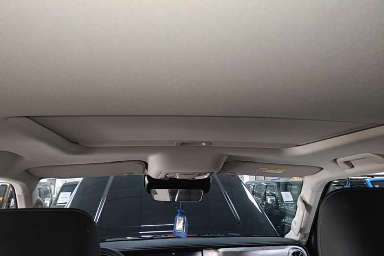 Used Tank 300 2024 2.0T Conqueror Headliner