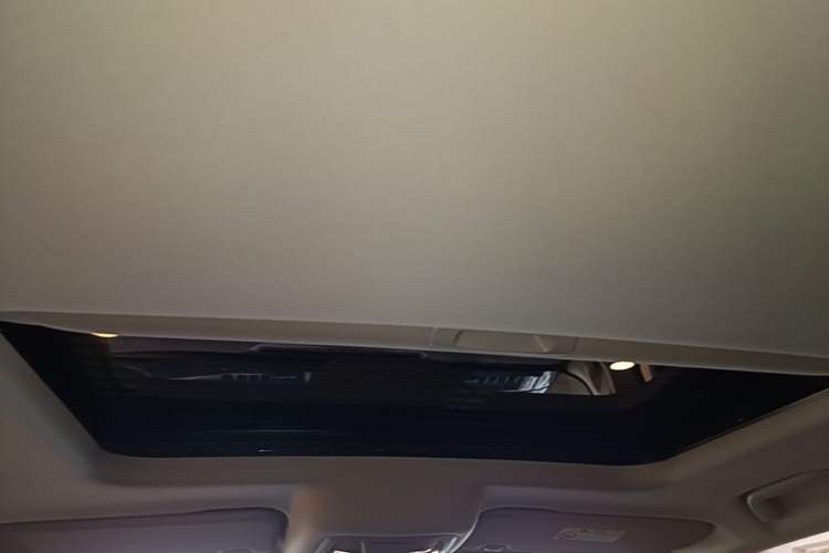 Used Tank 300 2024 2.0T Conqueror Headliner