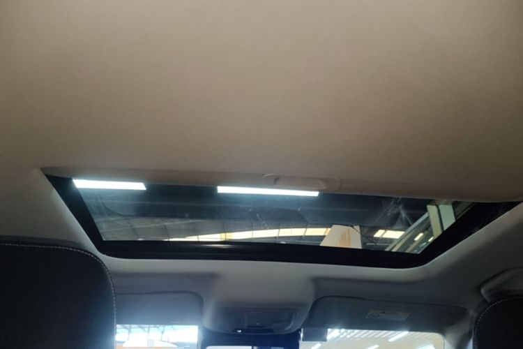 Used Tank 300 2024 2.0T Conqueror Headliner