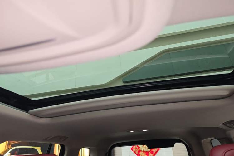 Used Tank 300 2024 2.0T Conqueror Headliner
