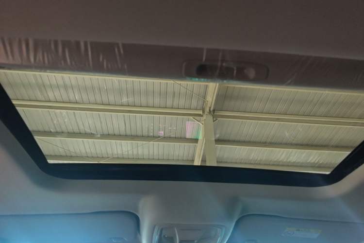 Used Tank 300 2024 2.0T Challenger Headliner