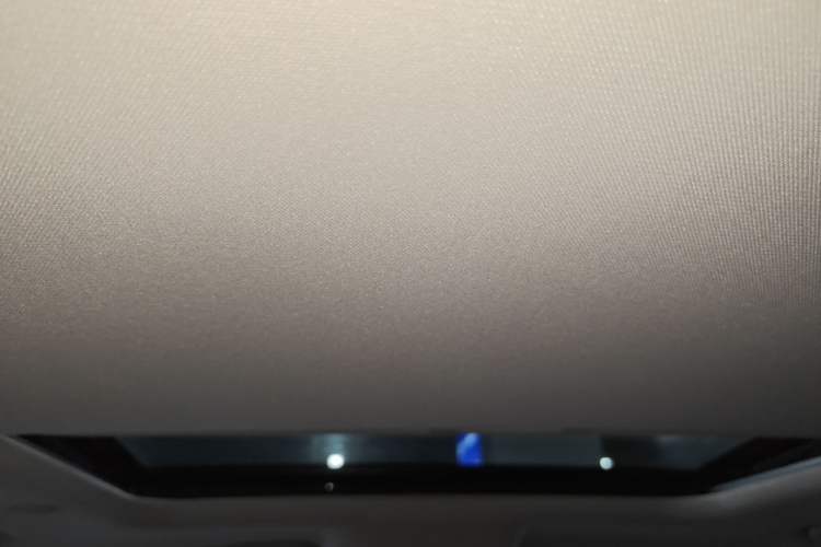 Used Tank 300 2024 2.0T Crosser Headliner