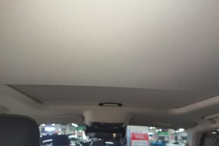 Used Tank 300 2024 2.0T Conqueror Headliner