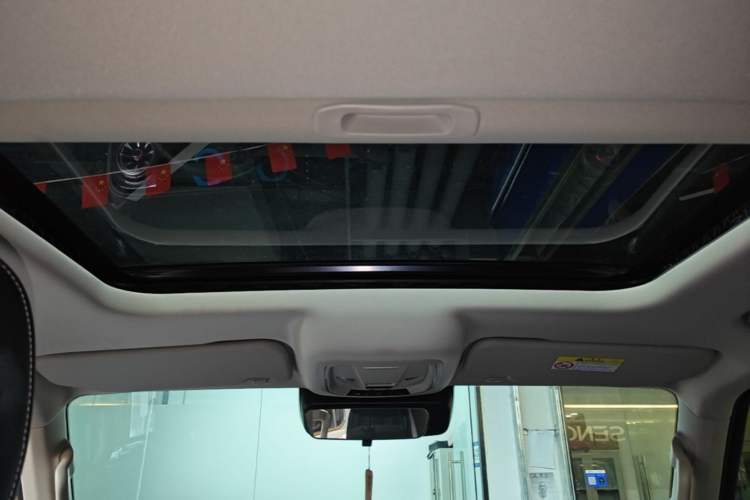 Used Tank 300 2024 2.0T Conqueror Headliner