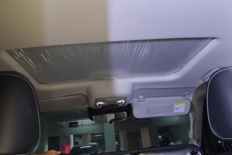 Used Tank 300 2024 2.0T Conqueror Headliner