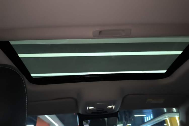 Used Tank 300 2024 2.0T Conqueror Headliner