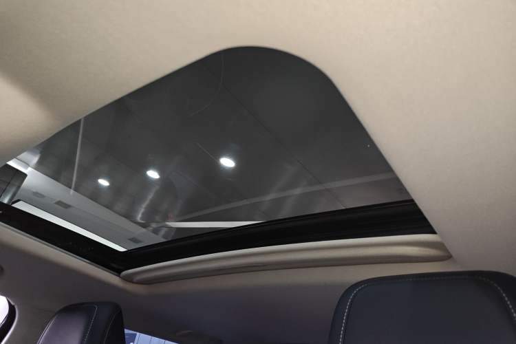 Used Tank 300 2024 2.0T Conqueror Headliner
