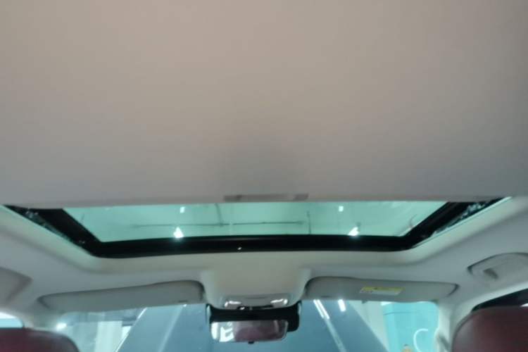 Used Tank 300 2024 2.0T Conqueror Headliner