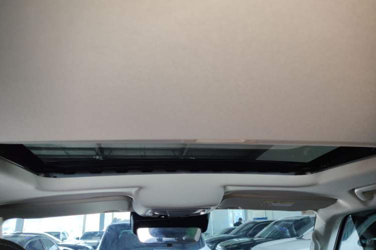 Used Tank 300 2024 2.0T Conqueror Headliner