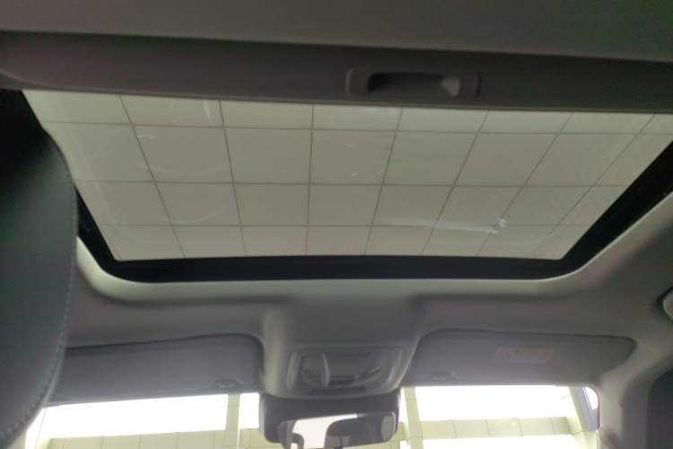 Used Tank 300 2024 2.0T Conqueror Headliner
