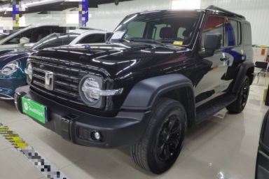 Used Tank 300 2024 2.0T Conqueror