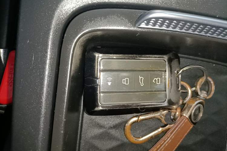 Used Tank 300 2024 2.0T Challenger Interior 1