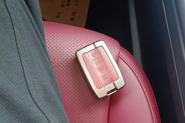 Used Tank 300 2024 2.0T Conqueror Interior 1