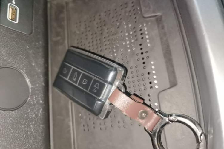 Used Tank 300 2024 2.0T Conqueror Interior 1