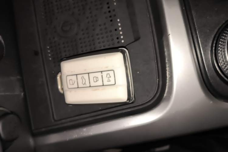 Used Tank 300 2024 2.0T Conqueror Interior 1