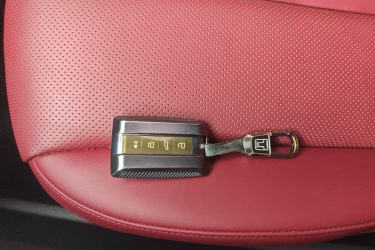 Used Tank 300 2024 2.0T Conqueror Interior 1