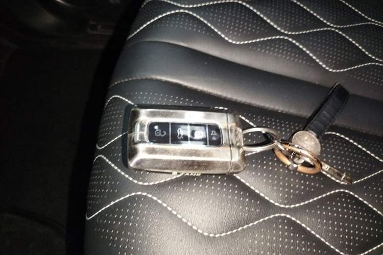 Used Tank 300 2024 2.0T Challenger Interior 1