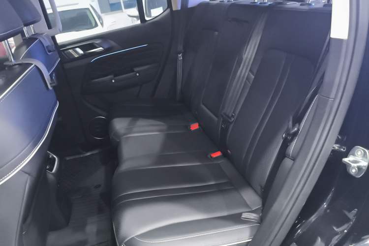 Used Tank 300 2024 2.0T Crosser Interior 4