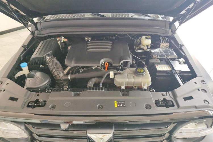 Used Tank 300 2024 2.0T Conqueror Interior 6