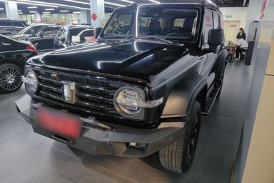 Used Tank 300 2024 2.0T Conqueror