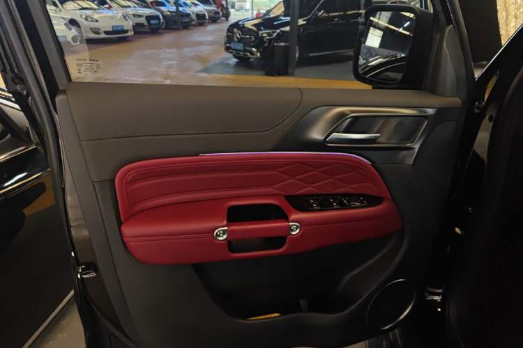 Used Tank 300 2024 2.0T Challenger Left Front Door Interior