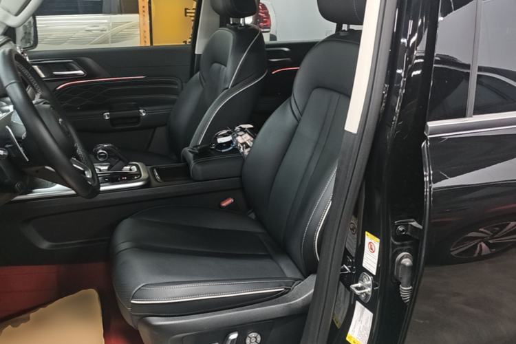 Used Tank 300 2024 2.0T Conqueror Left Front Seat