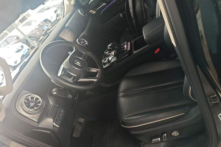 Used Tank 300 2024 2.0T Conqueror Left Front Seat