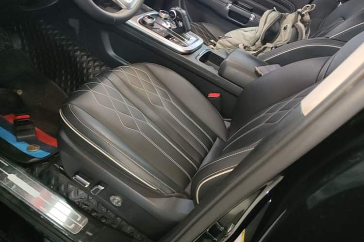 Used Tank 300 2024 2.0T Challenger Left Front Seat