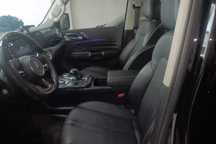 Used Tank 300 2024 2.0T Conqueror Left Front Seat