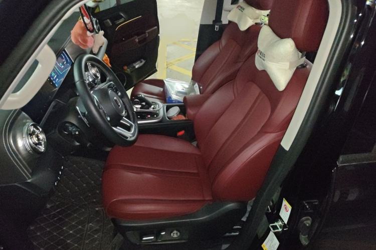 Used Tank 300 2024 2.0T Conqueror Left Front Seat