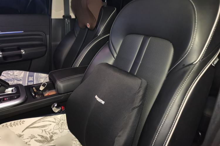 Used Tank 300 2024 2.0T Conqueror Left Front Seat