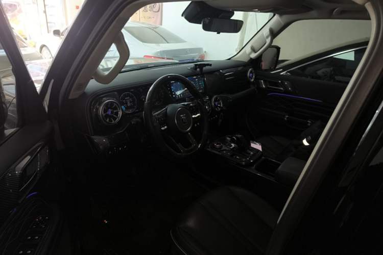 Used Tank 300 2024 2.0T Conqueror Left Front Seat