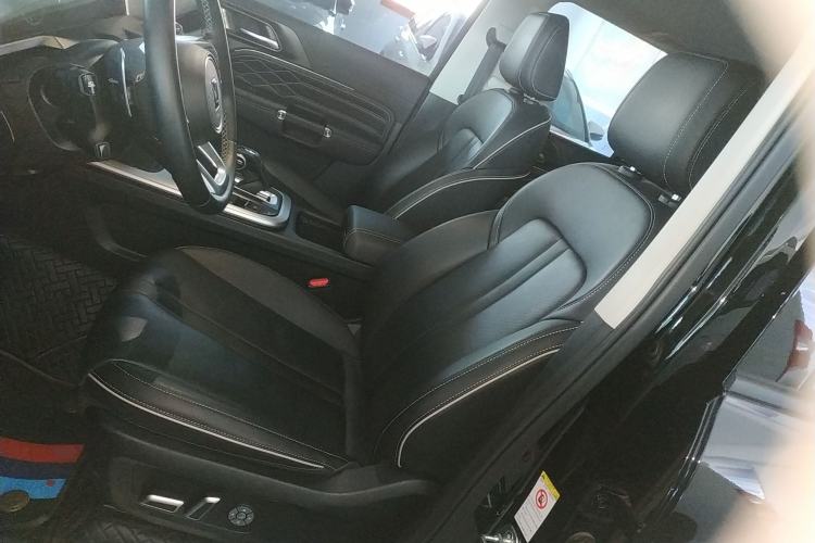 Used Tank 300 2024 2.0T Conqueror Left Front Seat