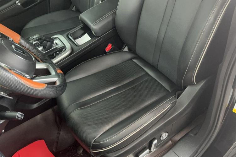 Used Tank 300 2024 2.0T Conqueror Left Front Seat