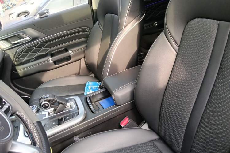 Used Tank 300 2024 2.0T Conqueror Left Front Seat