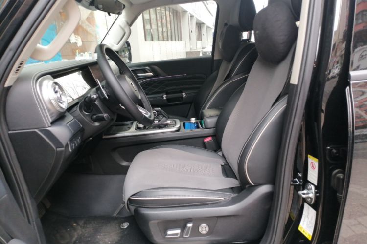 Used Tank 300 2024 2.0T Conqueror Left Front Seat