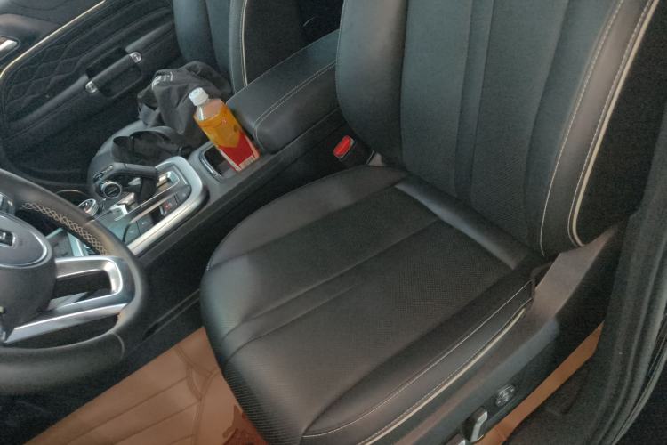 Used Tank 300 2024 2.0T Conqueror Left Front Seat