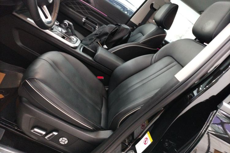 Used Tank 300 2024 2.0T Conqueror Left Front Seat