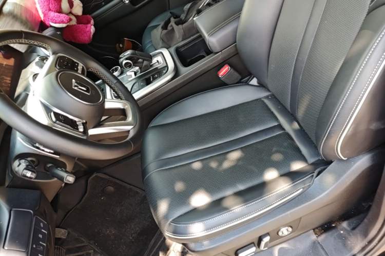 Used Tank 300 2024 2.0T Conqueror Left Front Seat