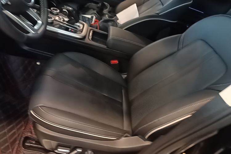 Used Tank 300 2024 2.0T Conqueror Left Front Seat