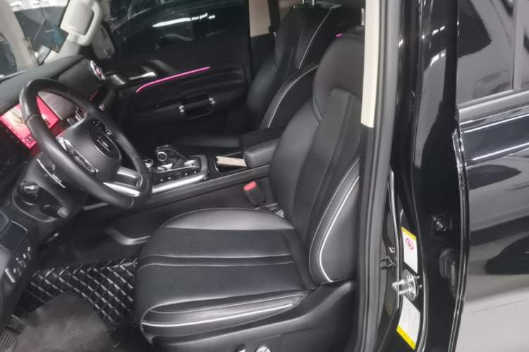 Used Tank 300 2024 2.0T Conqueror Left Front Seat
